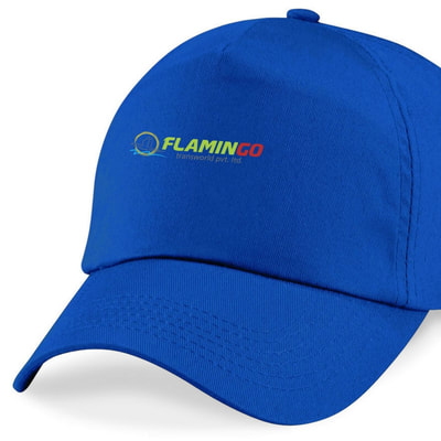 promotional logo printed caps Wholesale suppliers ahmedabad